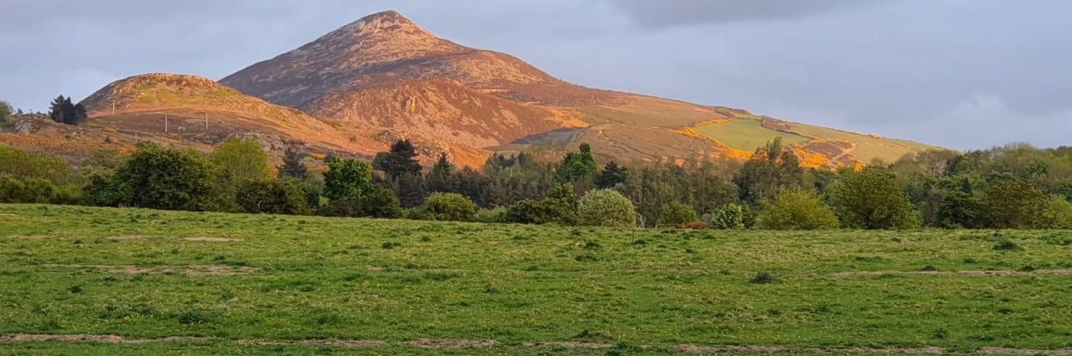 SaveEnniskerry's profile banner image