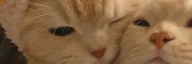 WHOM1NE's profile banner image