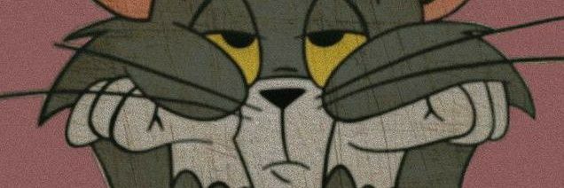 erdinckpln's profile banner image
