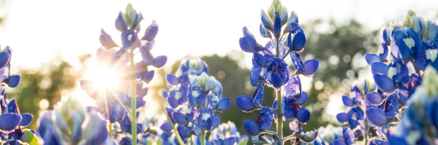 Bluebonnet Groundwater Conservation District banner