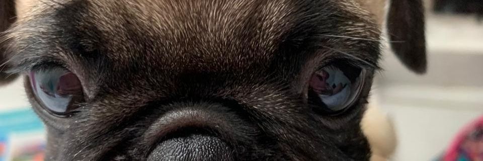 GonzandresR's profile banner image