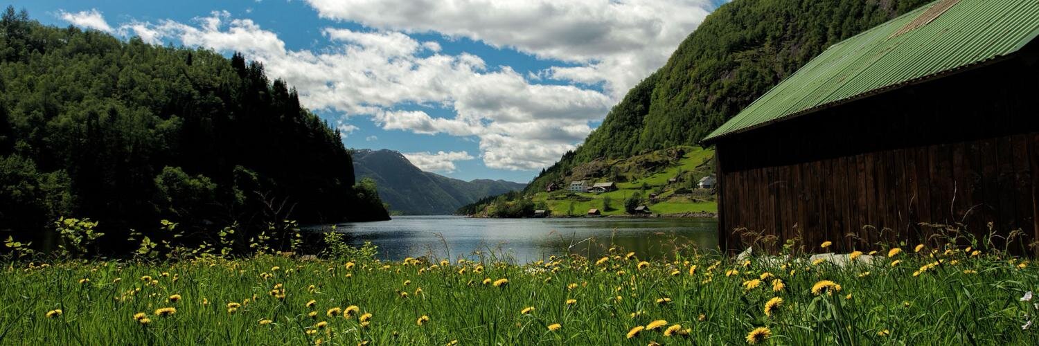 MattKloskowski banner