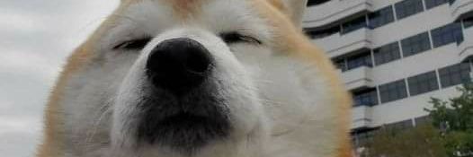 Pooolvora1's profile banner image