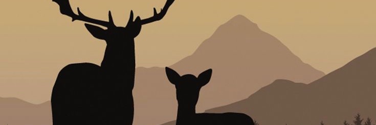 boon542's profile banner image