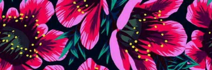 Jupaolini's profile banner image