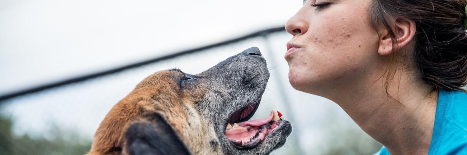ClassicCanines's profile banner image