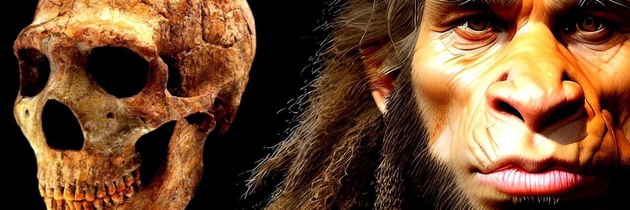 Highly Compelling banner