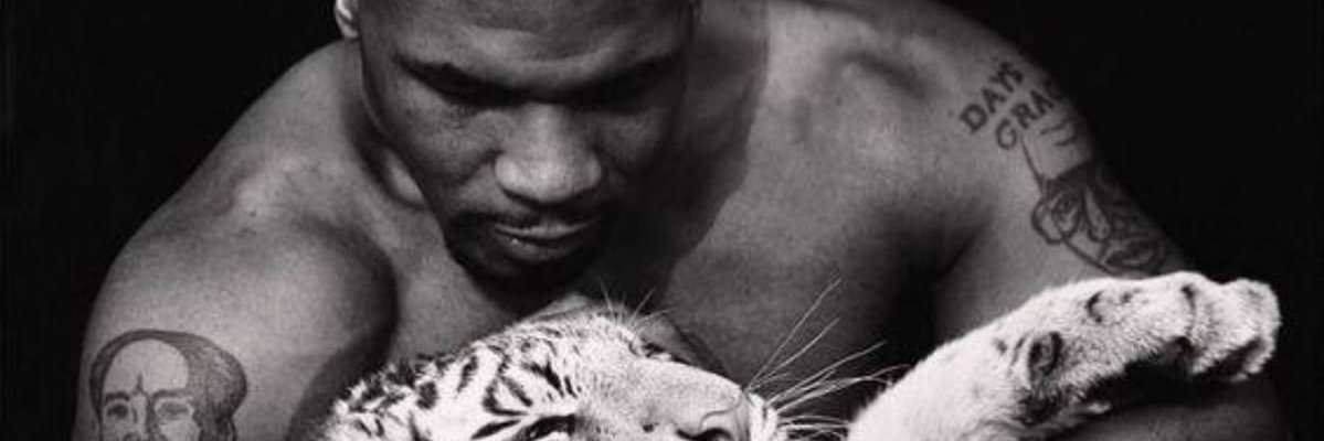 fede banner