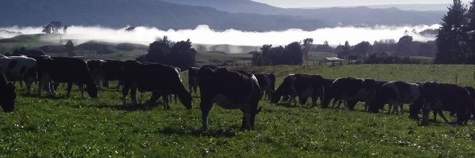 jo_malyon's profile banner image