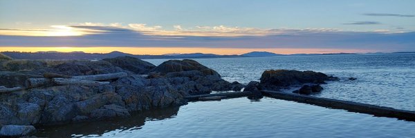 evesimonci Profile Banner
