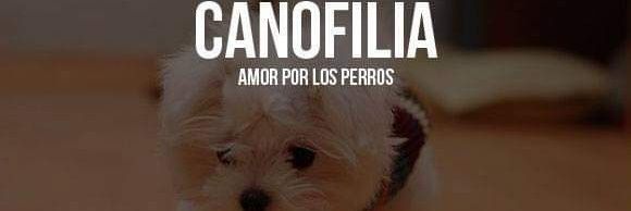 La chica de los perros banner