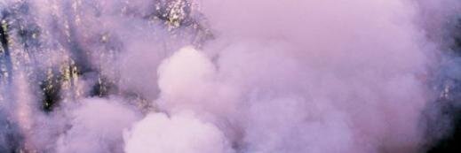 DinizaB's profile banner image