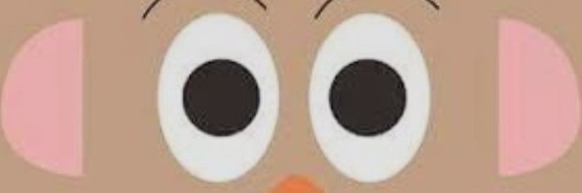 casychc's profile banner image