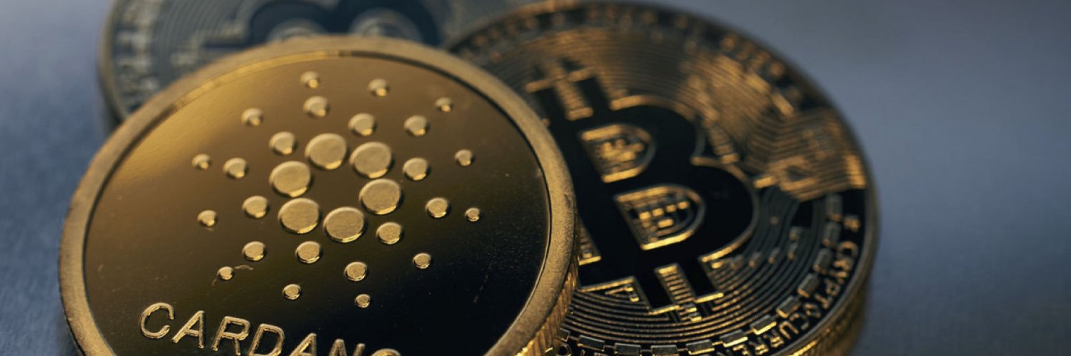 Plan o 🇨🇦⚜️ banner