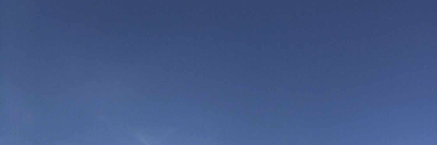 vi_hugo's profile banner image