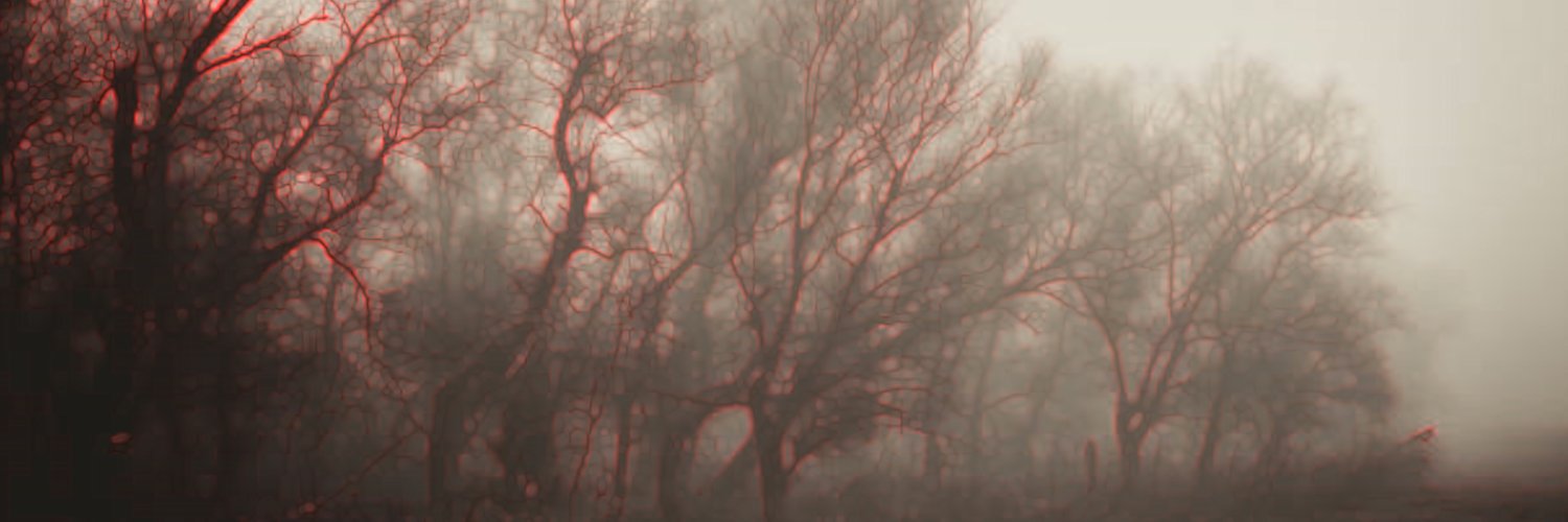 3vexed3's profile banner image