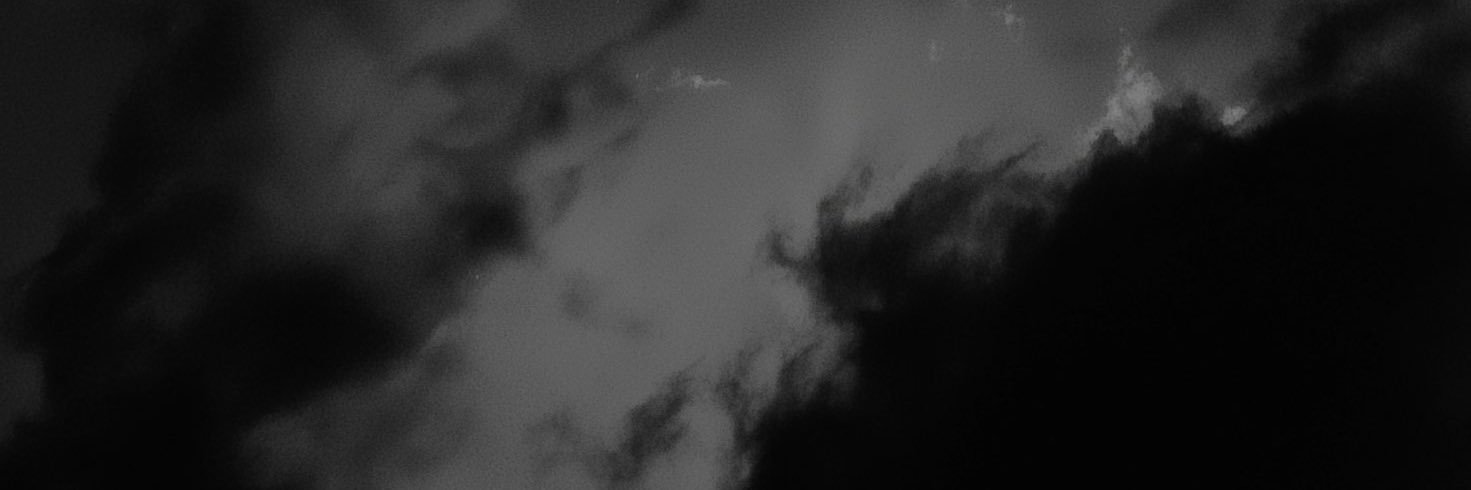 🐾 banner