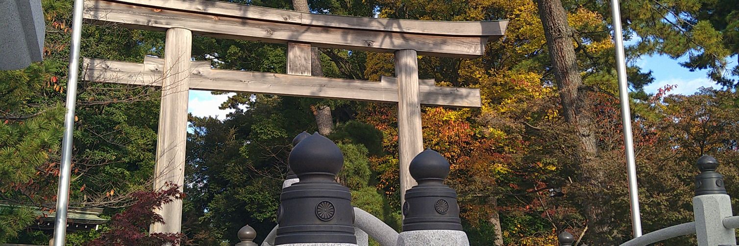 ittisando's profile banner image