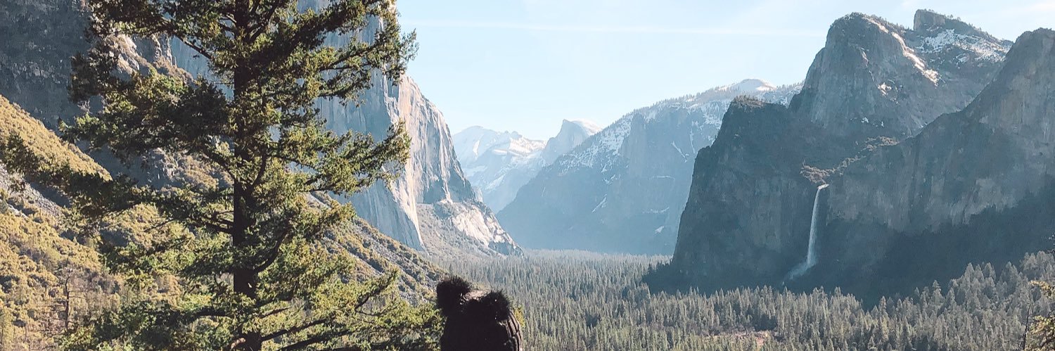 emillyvitta's profile banner image