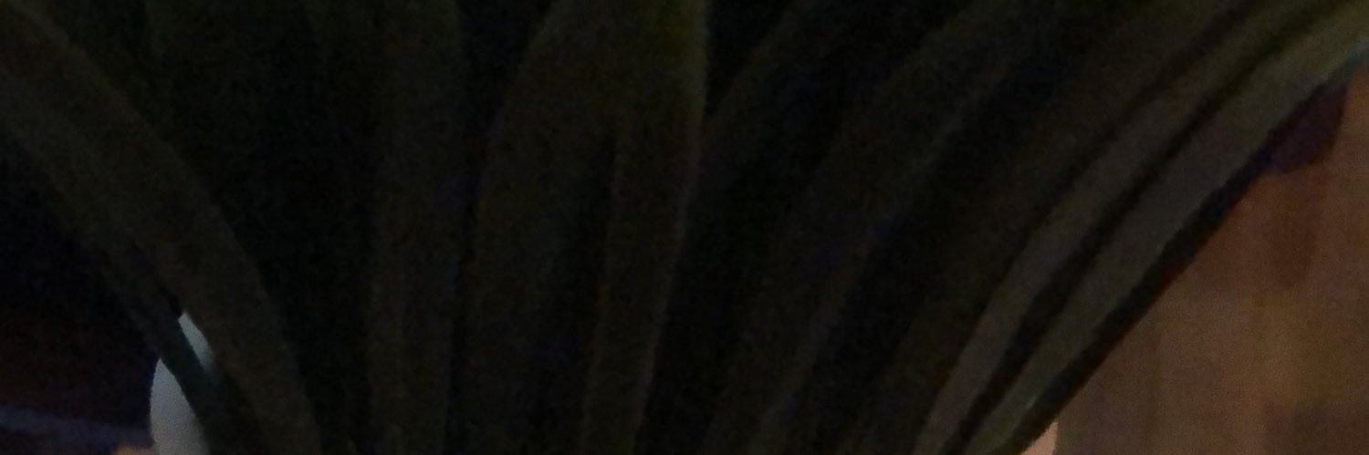 Smith Alijavid banner