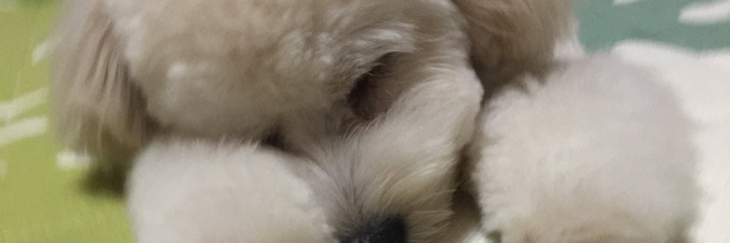 mii___112's profile banner image
