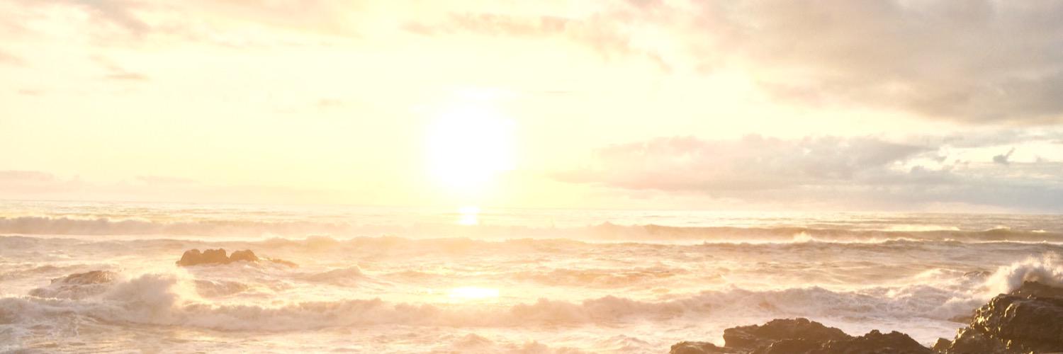 courtdub's profile banner image