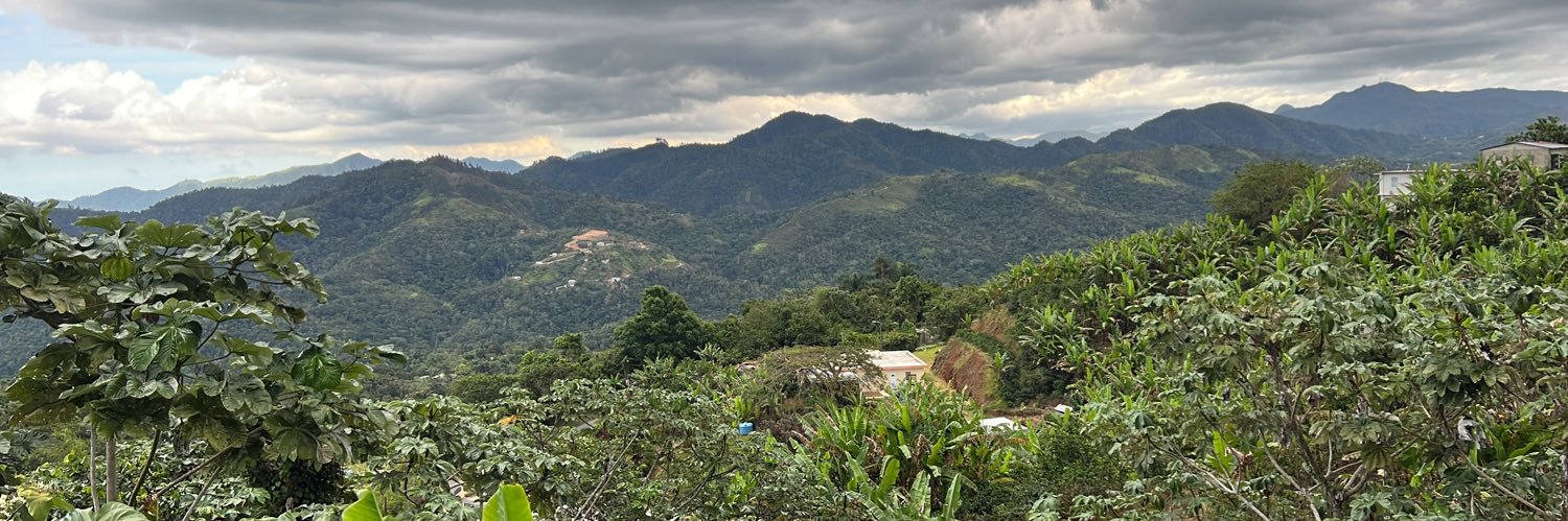 _Fernandez2796's profile banner image