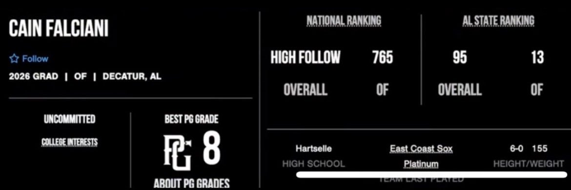 Houston Cain Falciani banner