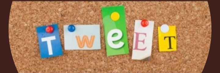 baudeliereb's profile banner image