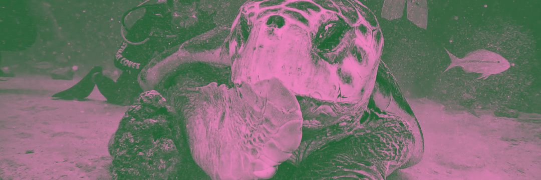 april 🐻‍❄️ banner