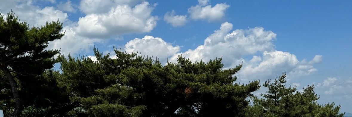 23zco's profile banner image