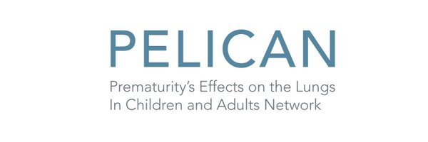 PELICANetwork Profile Banner