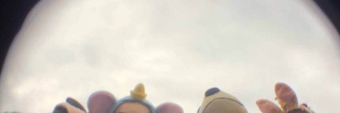 litmusBOO's profile banner image