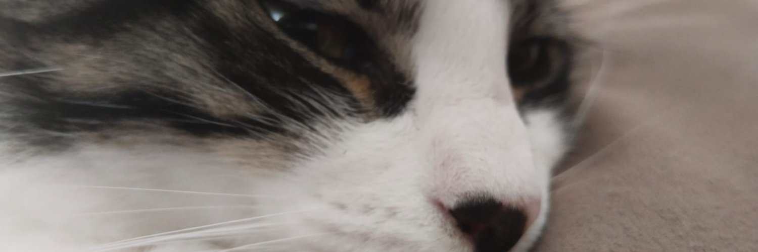 ApaydnFiliz's profile banner image