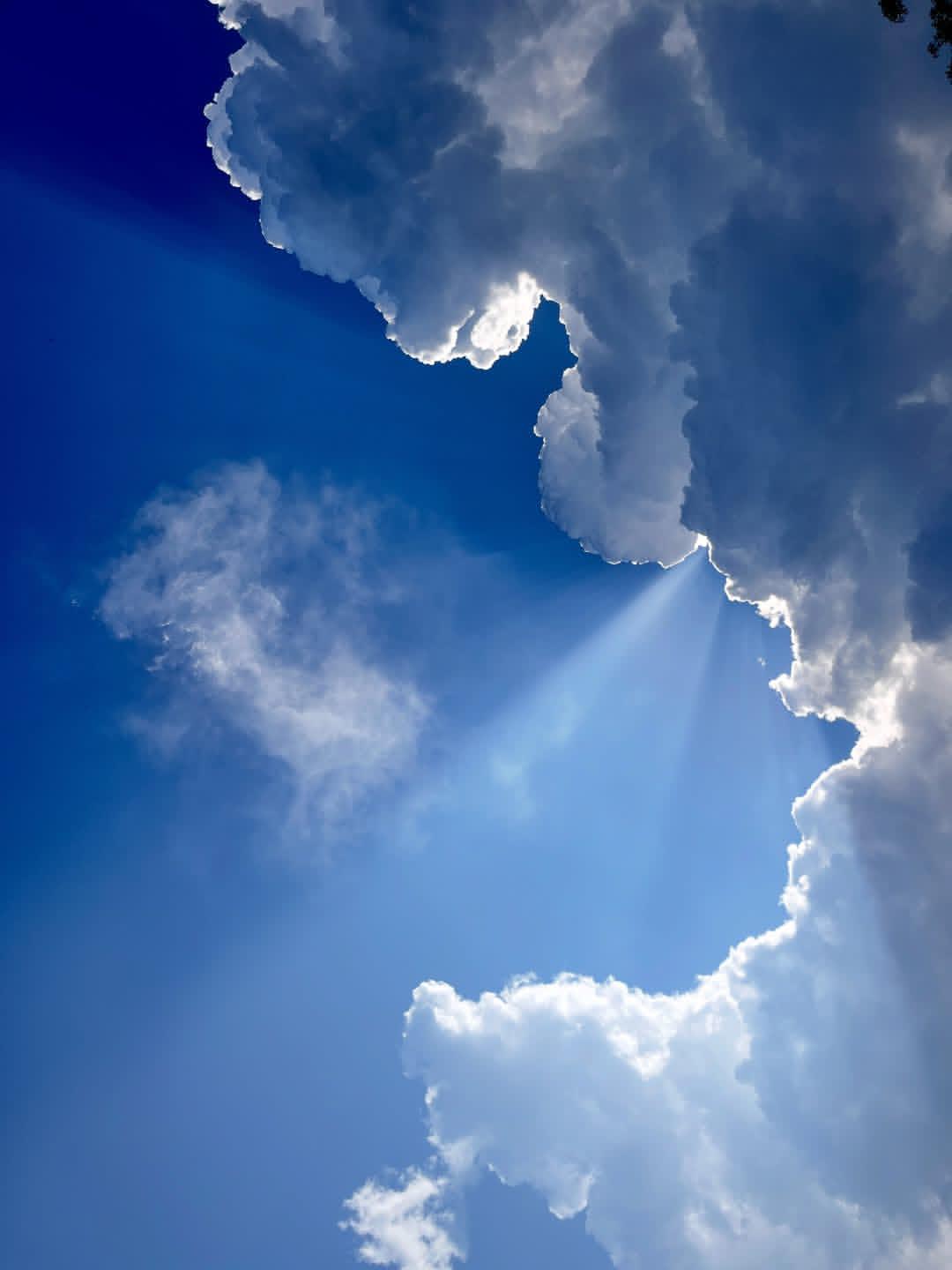 @OfficialBigMarc banner