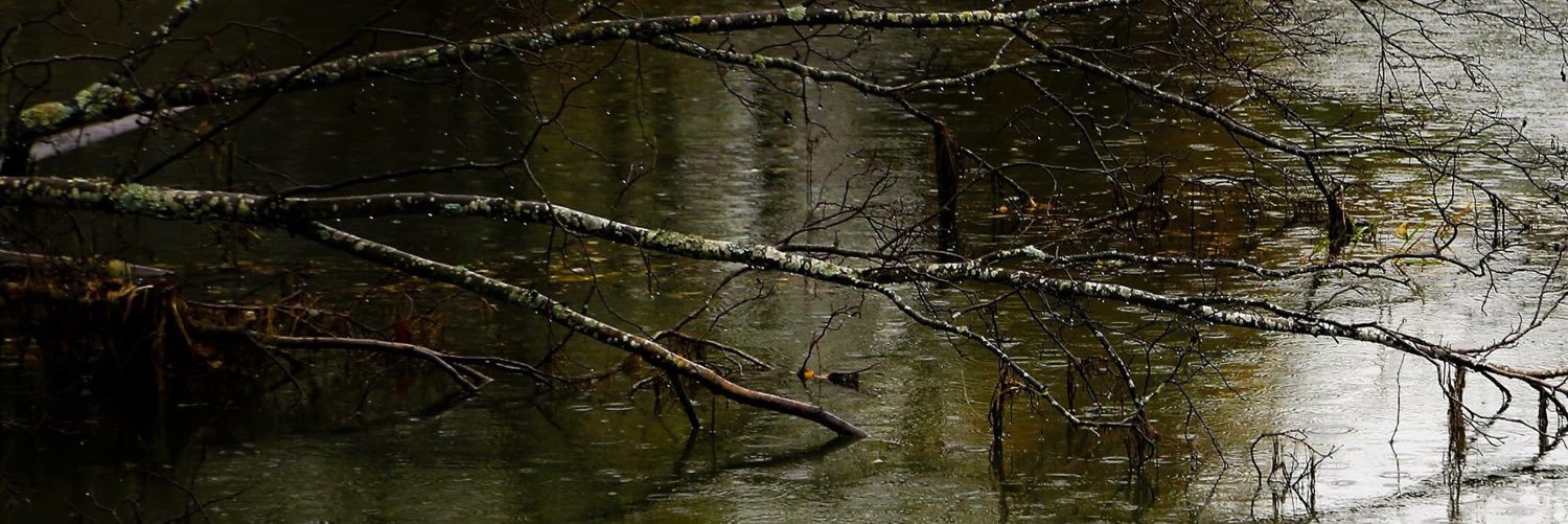 stinewaern's profile banner image