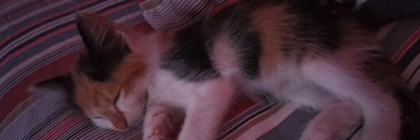 Lavithiluan Profile Banner