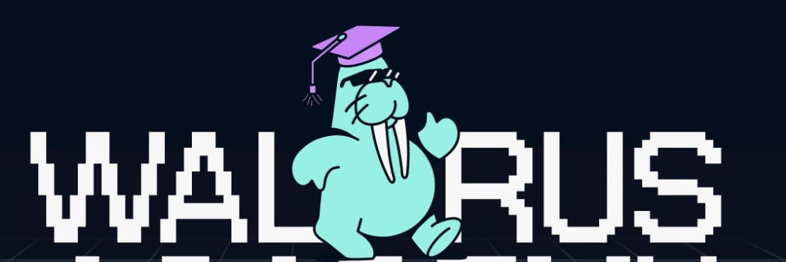 ShortDolar.sui 🦭/acc banner