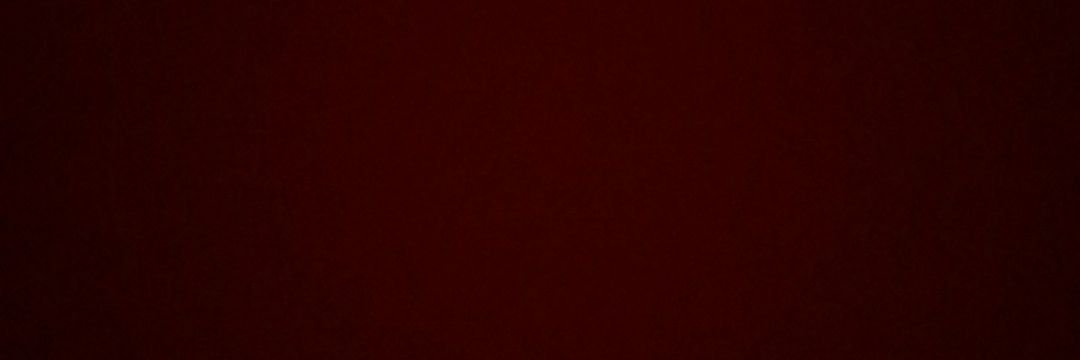 MerakliPanda's profile banner image