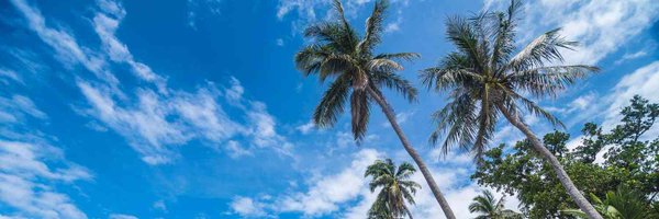 satoshi5964 Profile Banner