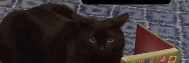 jtkoov's profile banner image