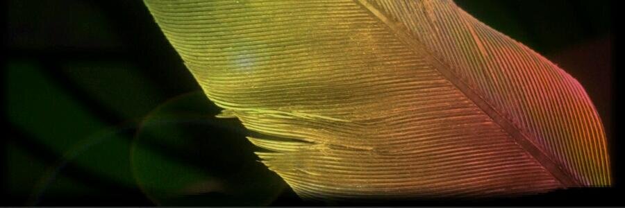 KrnMarly's profile banner image