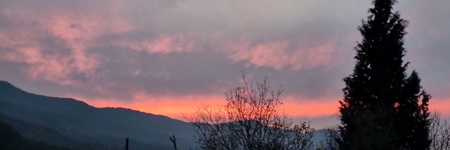 ddmgnn's profile banner image