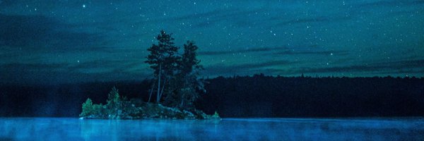 TonyLStewart Profile Banner