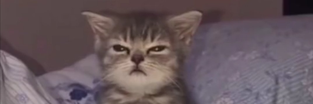 Tuckermilkman's profile banner image
