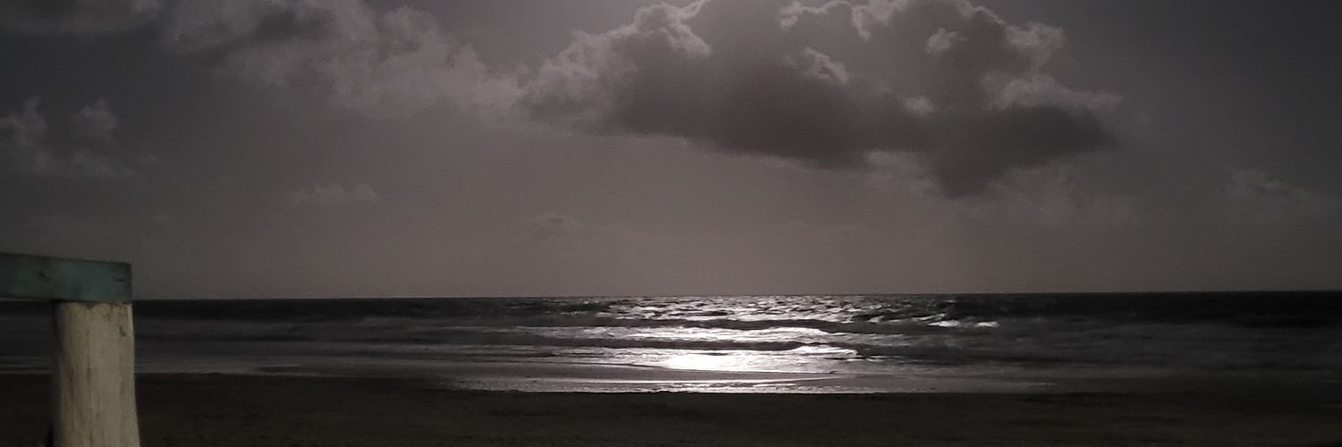 Paiquer's profile banner image