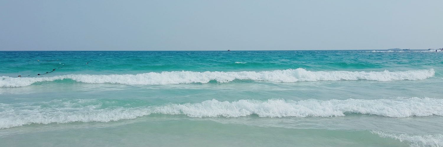 Janjangja's profile banner image
