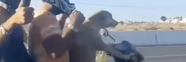 Jackie Chiles banner