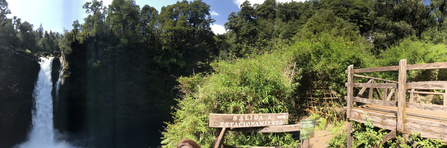 Sebastian Castillo banner