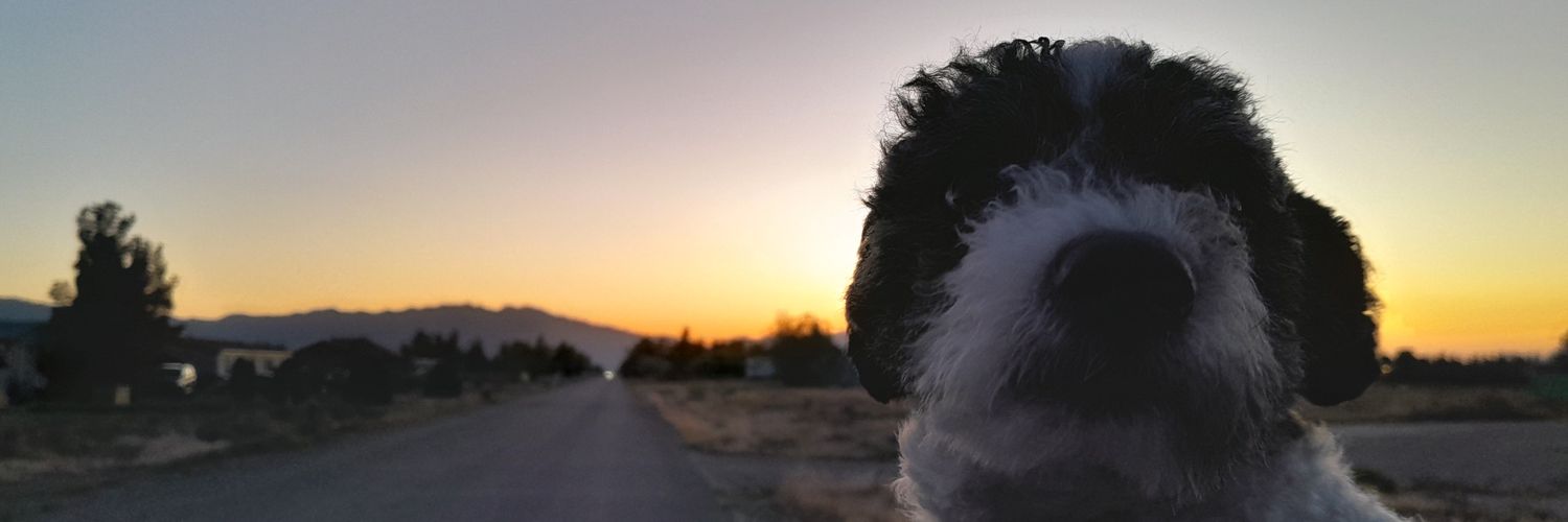 Fiona ❤️💙 banner